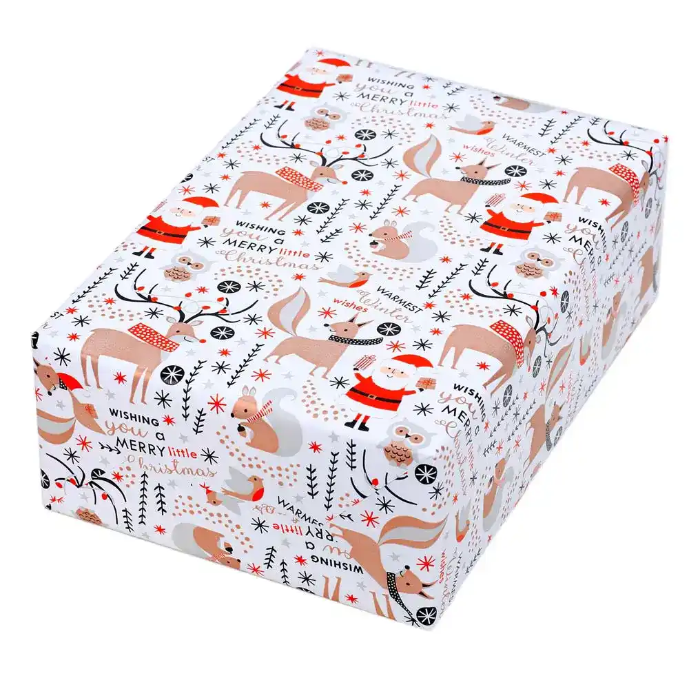 geschenkpapier-rollen-JUGP-WHWAWI-50-paket