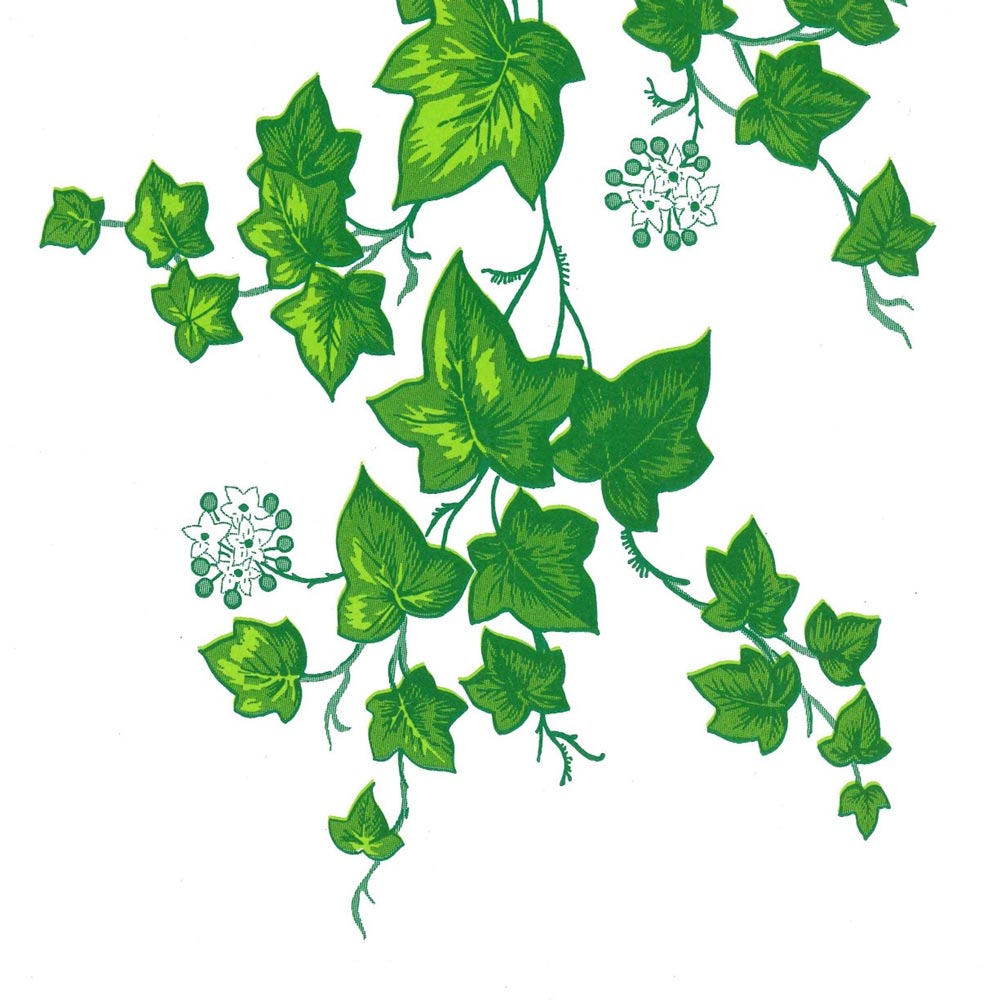 seidenpapier-rollen-blumen-BPFRI-RAWE-50-galerie