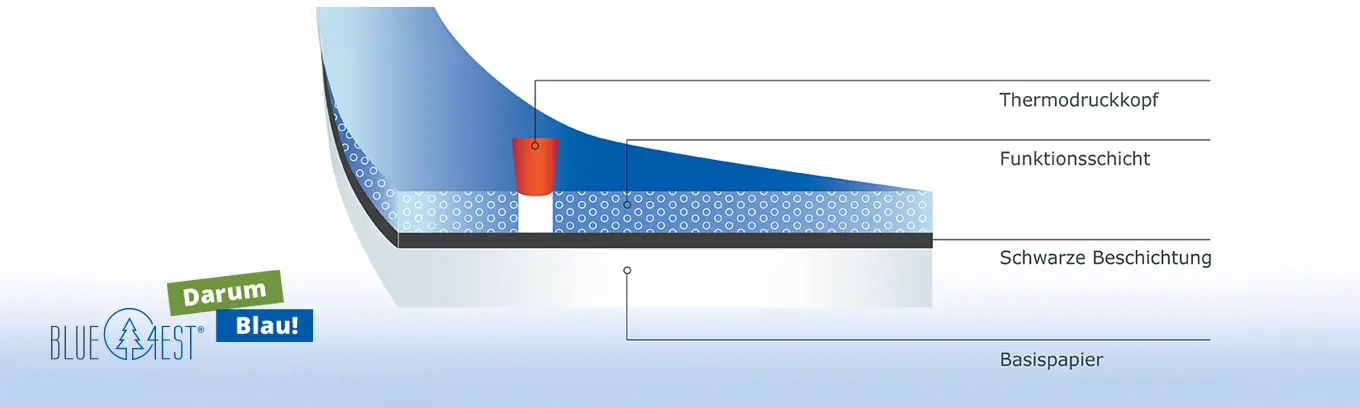 Blue4Est vs BPA frei