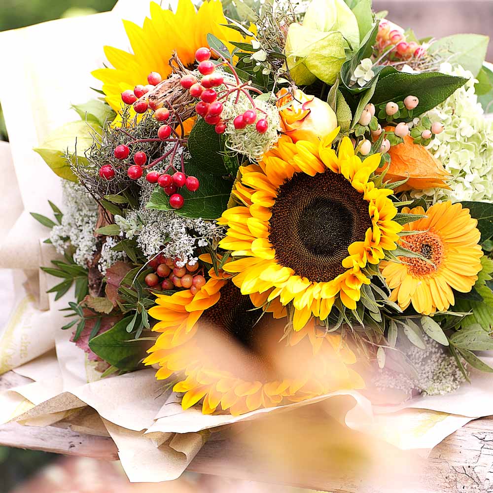 geschenkpapier-rollen-emotion5f522e8496b2a