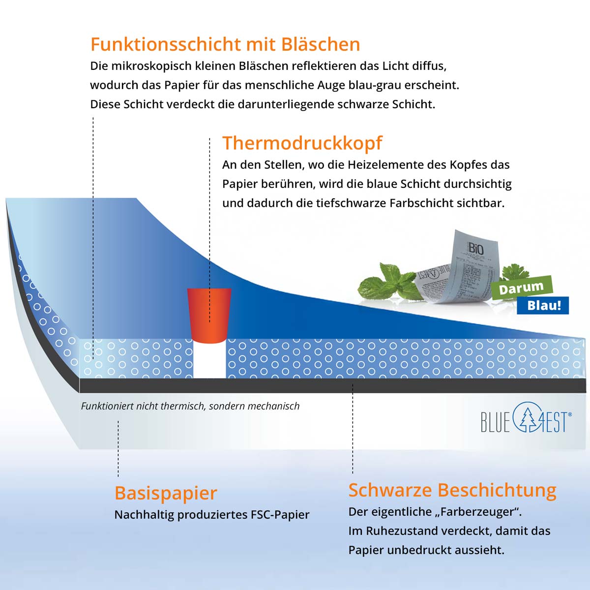 Blue4est® Blaues Thermopapier